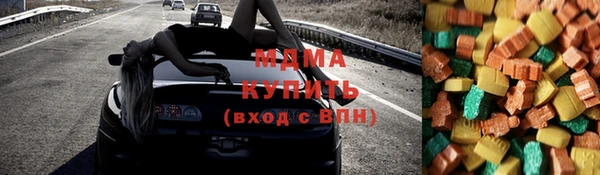 шишки Арсеньев