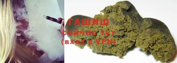 шишки Арсеньев