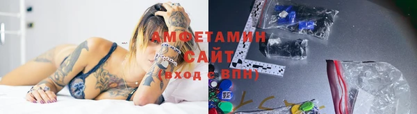 шишки Арсеньев