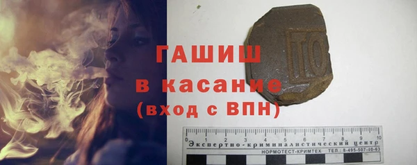 шишки Арсеньев