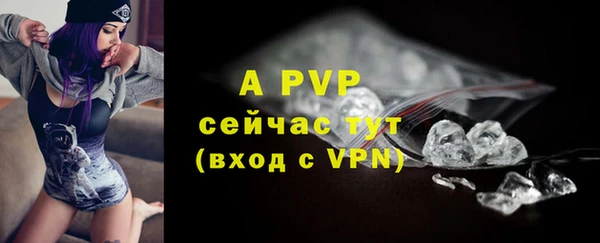 шишки Арсеньев