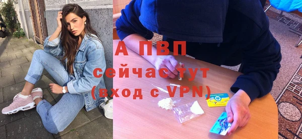 шишки Арсеньев