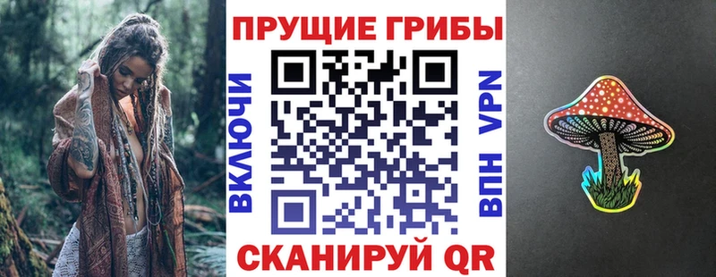 Псилоцибиновые грибы Psilocybe  Ухта 